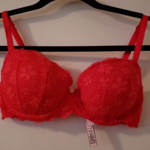 Sexy red laced bra